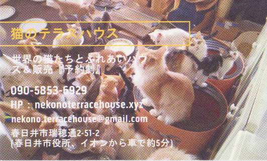 猫のテラスハウス｜スタンプカード　表紙